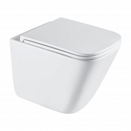 Подвесной унитаз безободковый Terminus Ватикан Monolit 490х340 белый Чайковский - фото 2