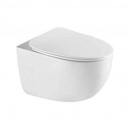 Подвесной унитаз безободковый Terminus Енисей Monolit 560х390 белый Чайковский - фото 2